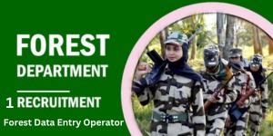 Forest Data Entry Operator 1 Recruitment